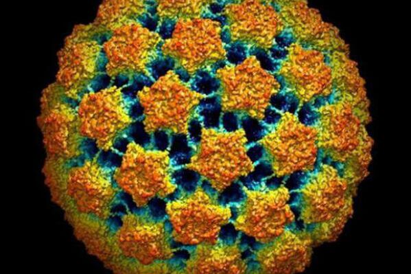 Az emberi papilloma vírus diagnosztizálására szolgáló módszerek