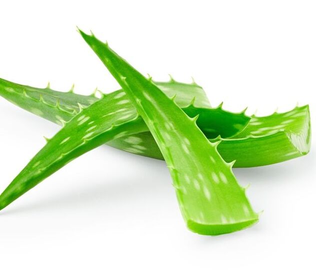 Aloe papillómák kezelésére