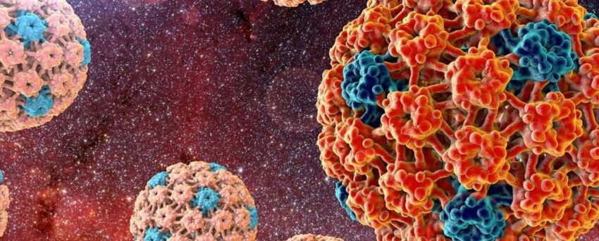 Humán papillomavírus, amely daganatok megjelenését okozza a bőrön